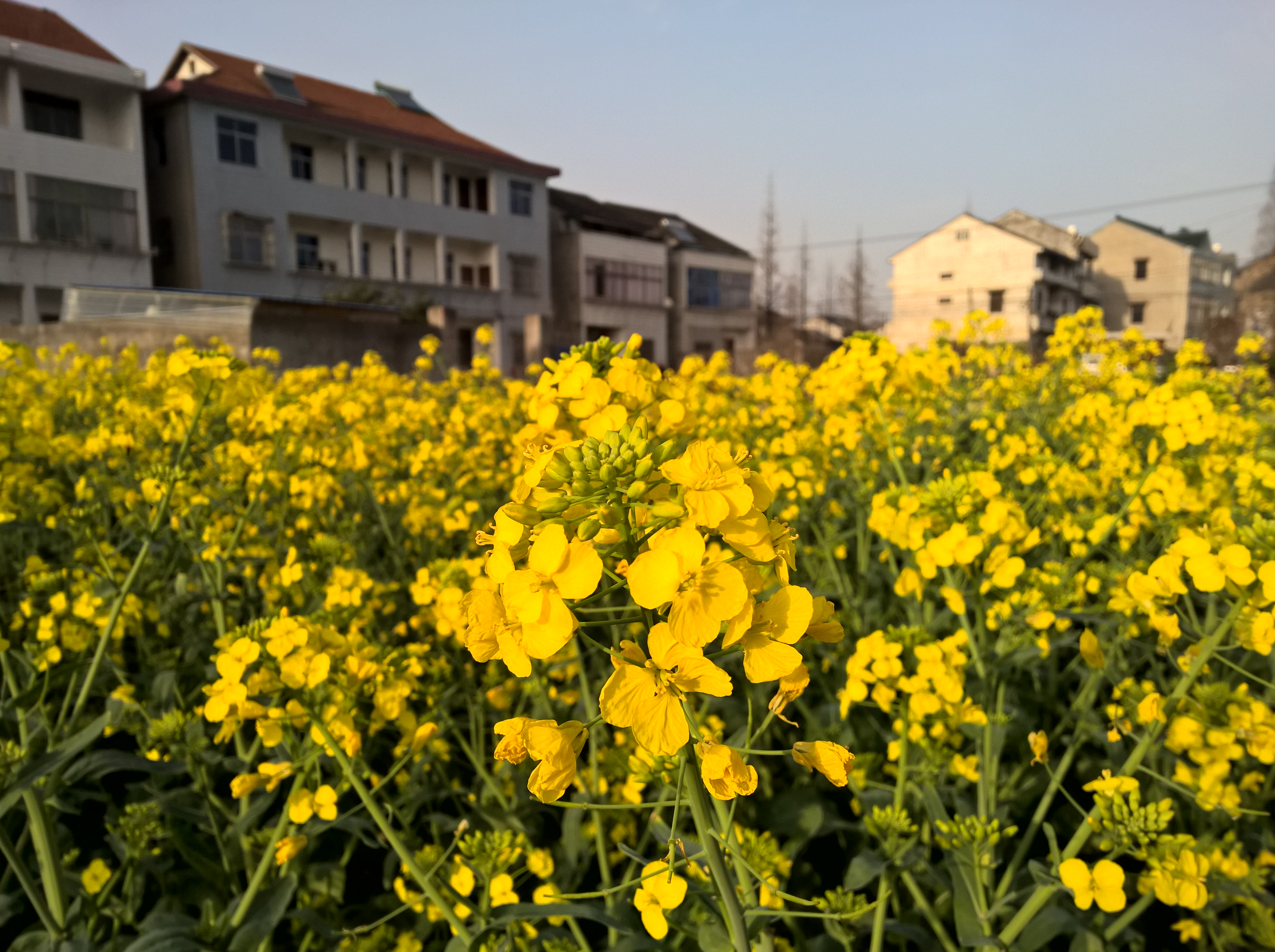 WP_20150322_16_48_57_Rich