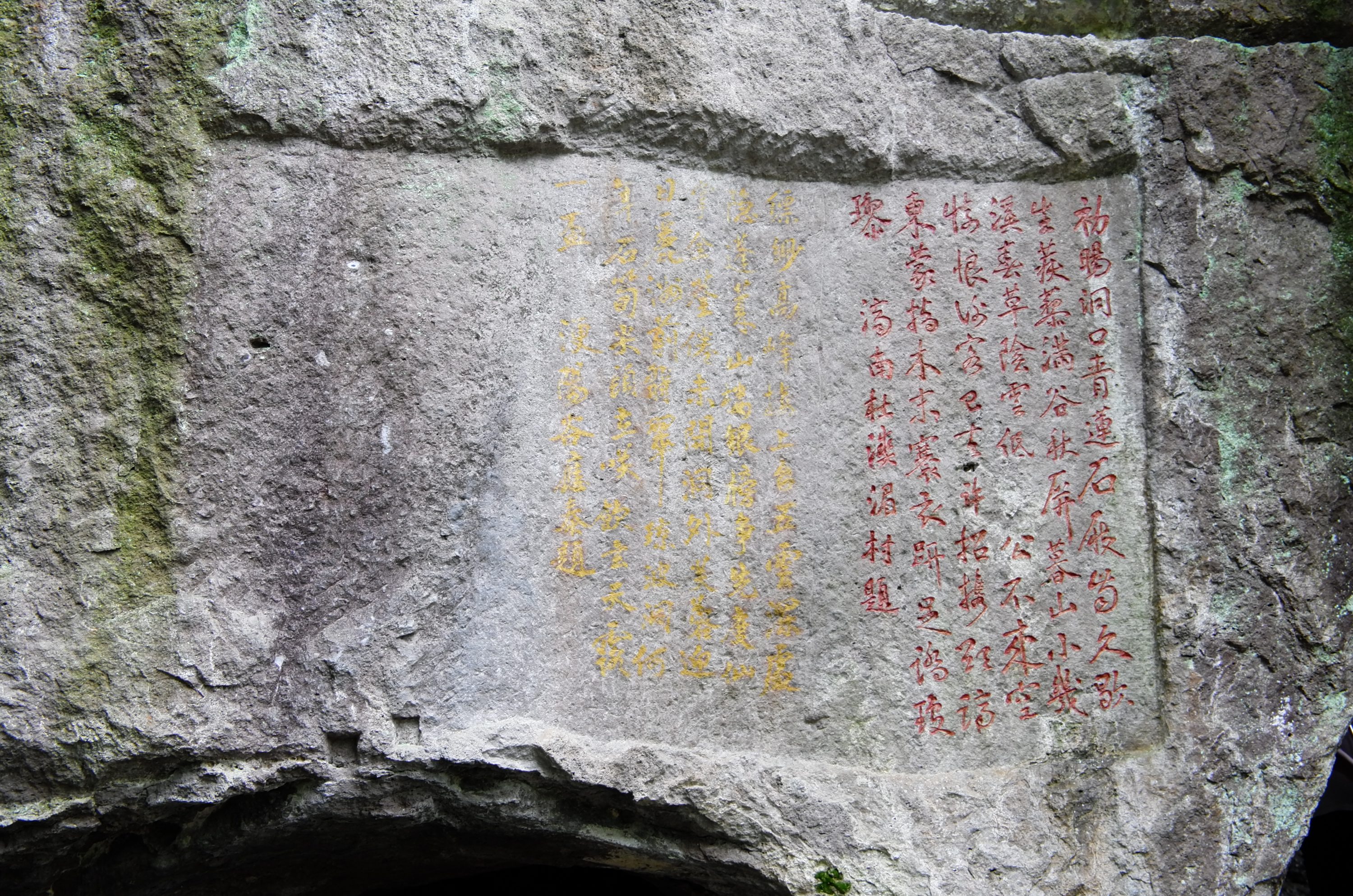 L1000465
