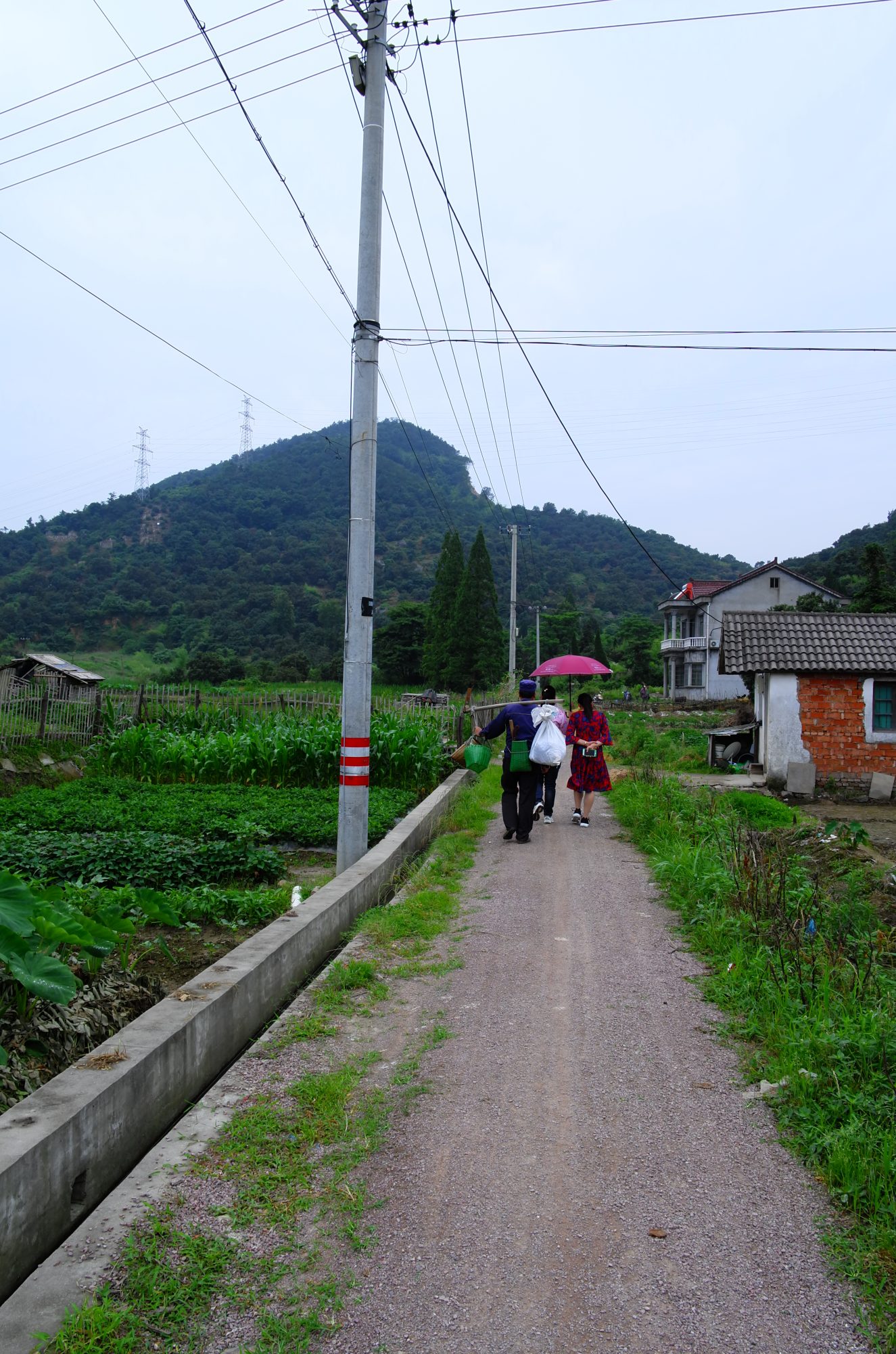 L1000826