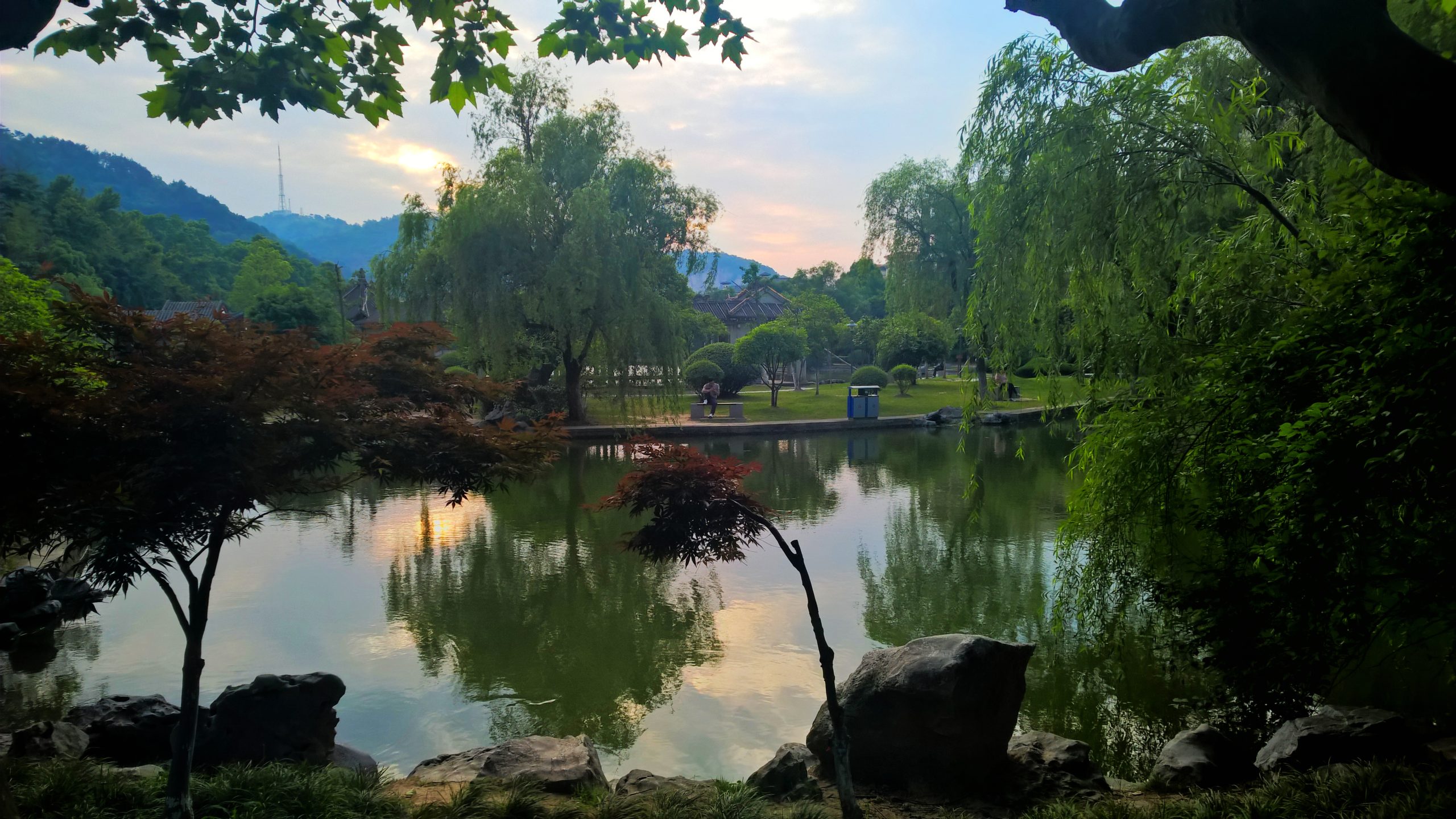WP_20160519_17_24_20_Rich_LI