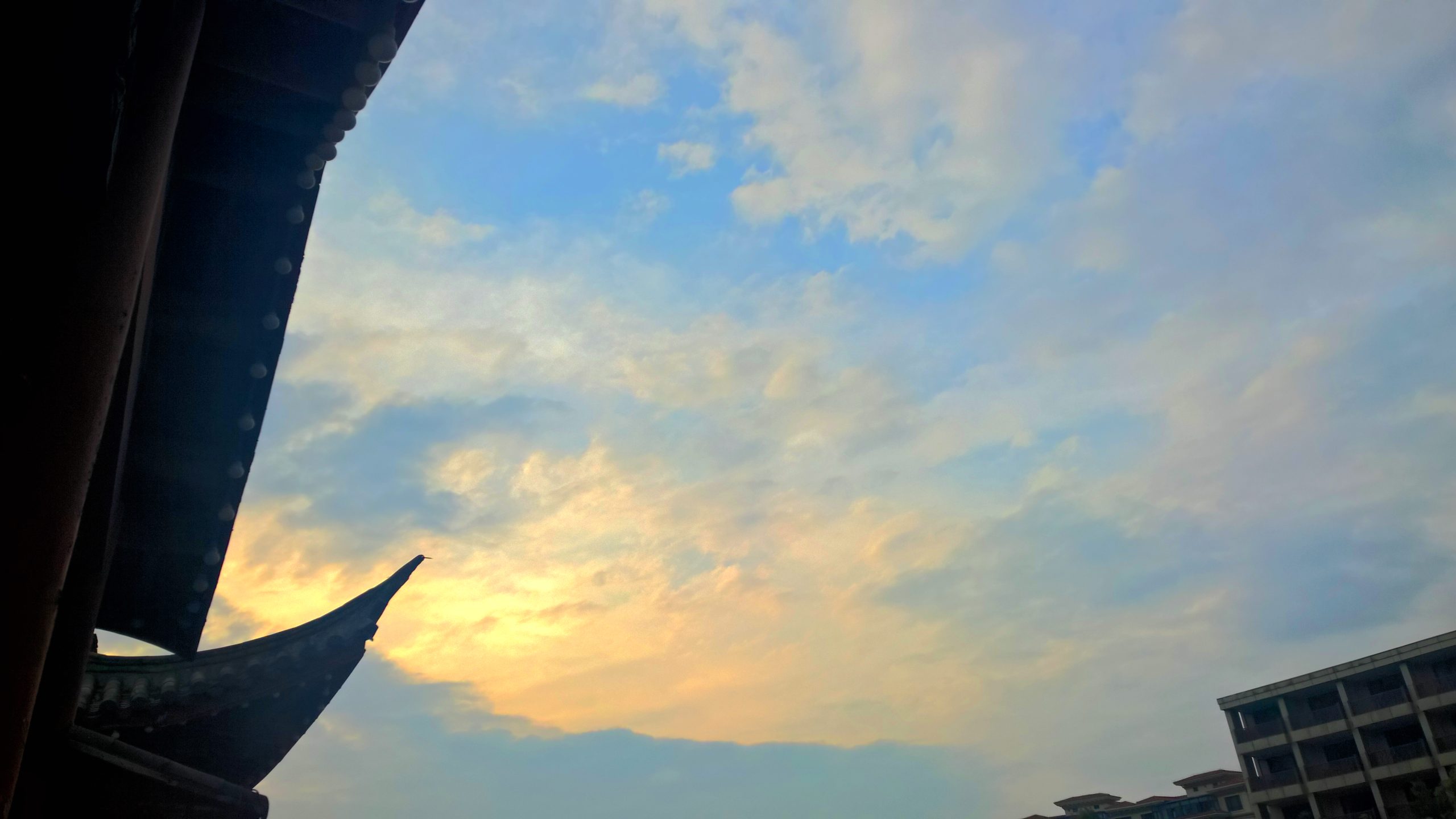 WP_20160519_17_34_45_Rich_LI