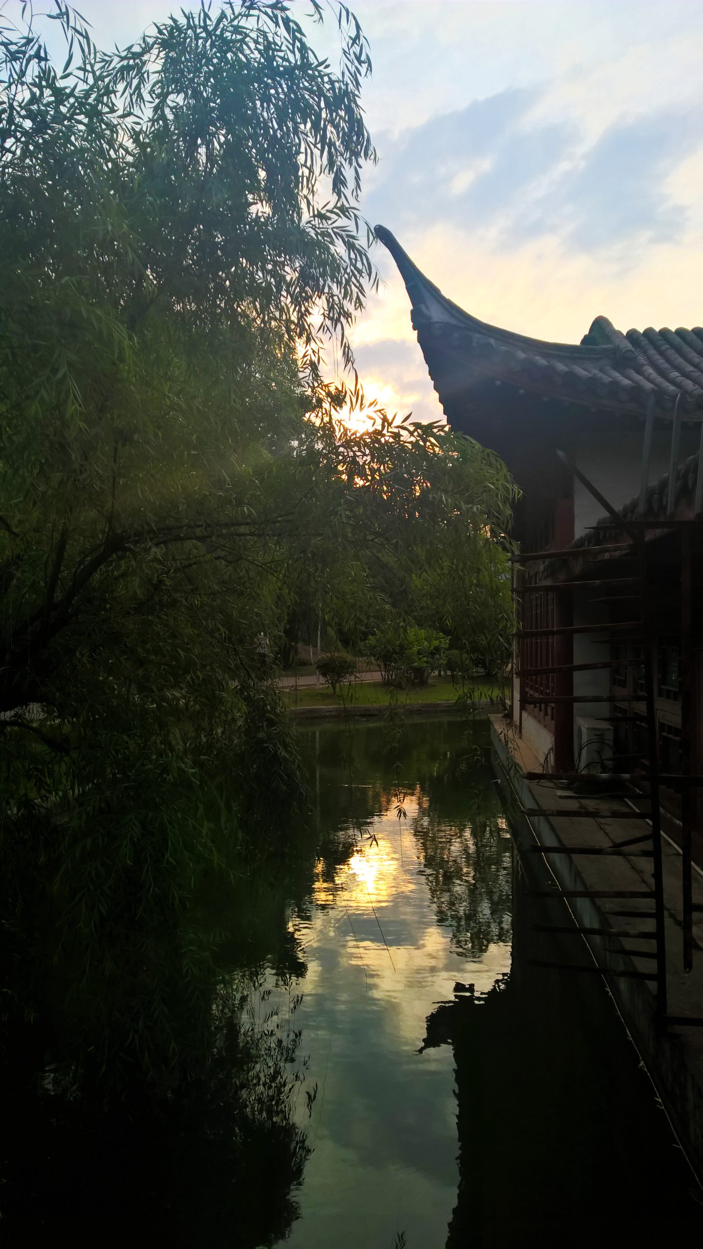 WP_20160519_17_35_27_Rich_LI